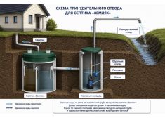 Зорде Рейн 5